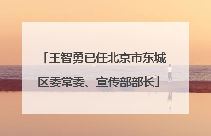 王智勇已任北京市东城区委常委、宣传部部长