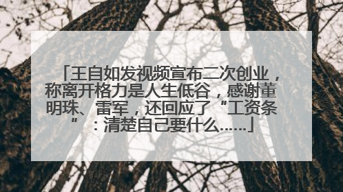 王自如发视频宣布二次创业，称离开格力是人生低谷，感谢董明珠、雷军，还回应了“工资条”：清楚自己要什么……