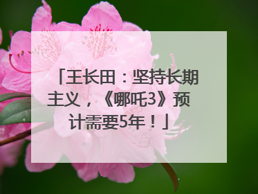 王长田：坚持长期主义，《哪吒3》预计需要5年！