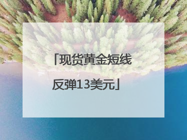 现货黄金短线反弹13美元