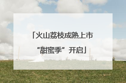 火山荔枝成熟上市 “甜蜜季”开启
