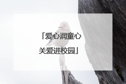 爱心润童心 关爱进校园