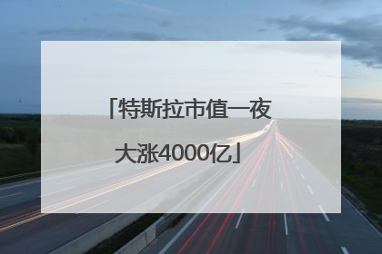 特斯拉市值一夜大涨4000亿