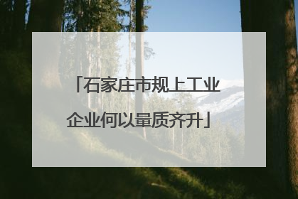 石家庄市规上工业企业何以量质齐升