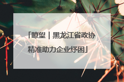 瞭望｜黑龙江省政协精准助力企业纾困