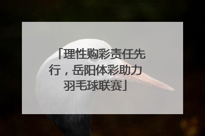 理性购彩责任先行，岳阳体彩助力羽毛球联赛