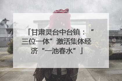 甘肃灵台中台镇：“三位一体”激活集体经济“一池春水”