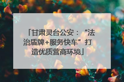 甘肃灵台公安：“法治盾牌+服务快车”打造优质营商环境