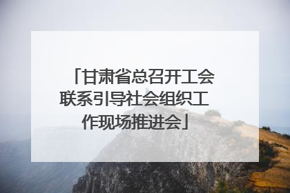 甘肃省总召开工会联系引导社会组织工作现场推进会