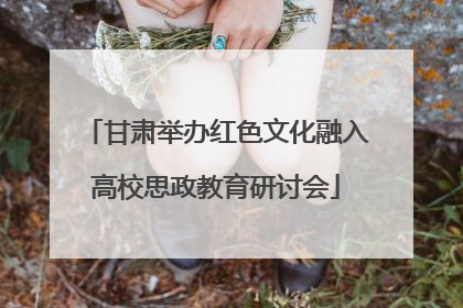 甘肃举办红色文化融入高校思政教育研讨会