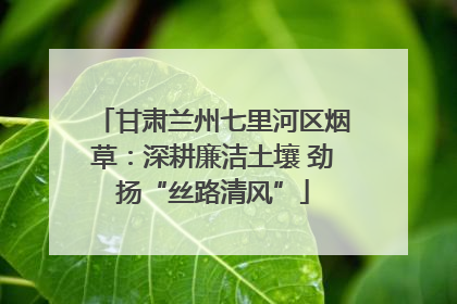 甘肃兰州七里河区烟草：深耕廉洁土壤 劲扬“丝路清风”