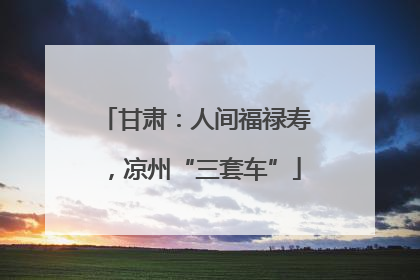 甘肃：人间福禄寿，凉州“三套车”