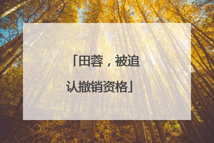 田蓉，被追认撤销资格
