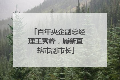 百年央企副总经理王秀峰，履新直辖市副市长