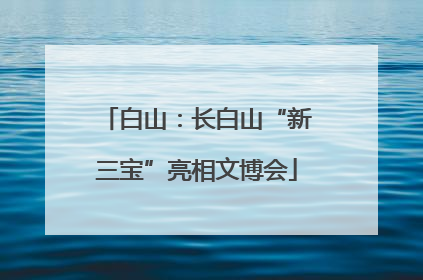 白山：长白山“新三宝”亮相文博会