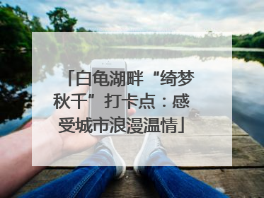 白龟湖畔“绮梦秋千”打卡点：感受城市浪漫温情
