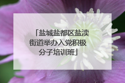 盐城盐都区盐渎街道举办入党积极分子培训班