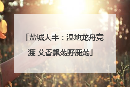 盐城大丰：湿地龙舟竞渡 艾香飘荡野鹿荡