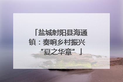盐城射阳县海通镇：奏响乡村振兴“夏之华章”