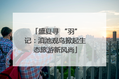盛夏寻 “羽” 记：滇池观鸟掀起生态旅游新风尚