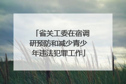省关工委在宿调研预防和减少青少年违法犯罪工作