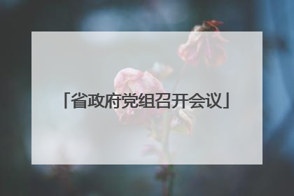 省政府党组召开会议