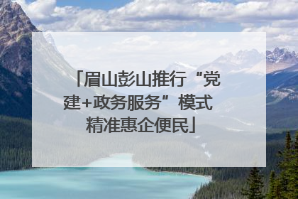 眉山彭山推行“党建+政务服务”模式 精准惠企便民