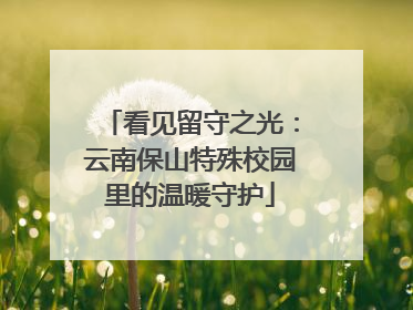 看见留守之光：云南保山特殊校园里的温暖守护