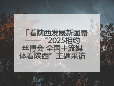 看陕西发展新图景——“2025相约丝博会 全国主流媒体看陕西”主题采访活动见闻