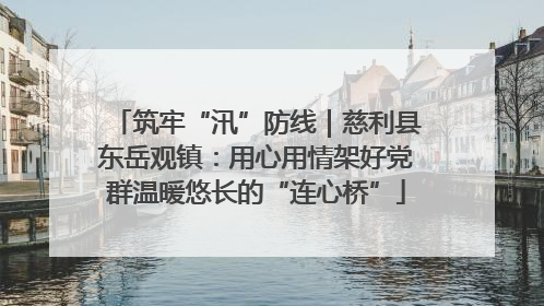 筑牢“汛”防线｜慈利县东岳观镇：用心用情架好党群温暖悠长的“连心桥”