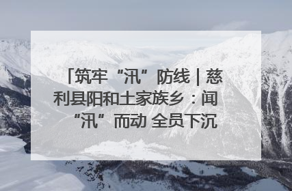 筑牢“汛”防线｜慈利县阳和土家族乡：闻“汛”而动 全员下沉筑牢防汛“安全堤”