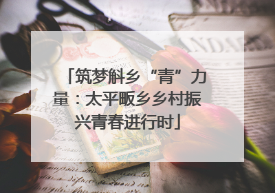 筑梦斛乡“青”力量：太平畈乡乡村振兴青春进行时