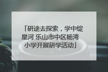 研途去探索，学中绽星河 乐山市中区杨湾小学开展研学活动