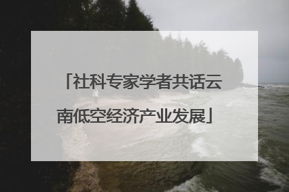 社科专家学者共话云南低空经济产业发展