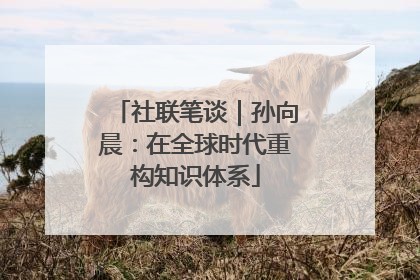 社联笔谈｜孙向晨：在全球时代重构知识体系