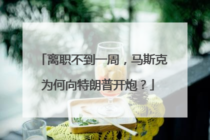 离职不到一周，马斯克为何向特朗普开炮？