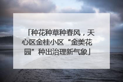 种花种草种春风，天心区金桂小区“金美花园”种出治理新气象