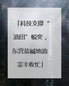 科技支撑“油田”蜕变，东营盐碱地油菜丰收忙