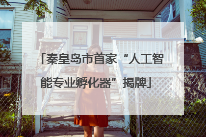 秦皇岛市首家“人工智能专业孵化器”揭牌
