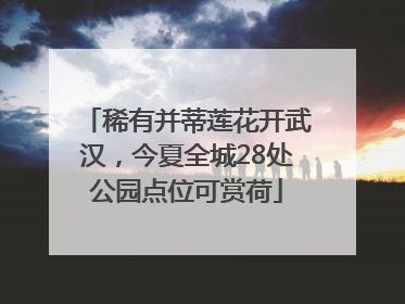 稀有并蒂莲花开武汉，今夏全城28处公园点位可赏荷