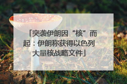 突袭伊朗因“核”而起：伊朗称获得以色列大量核战略文件