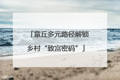 章丘多元路径解锁乡村“致富密码”