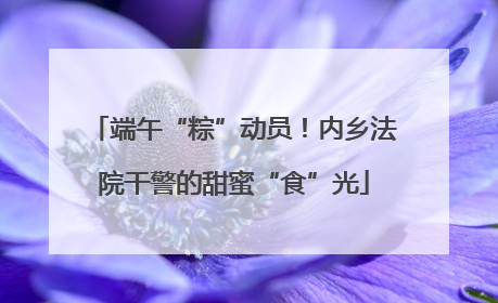 端午“粽”动员！内乡法院干警的甜蜜“食”光