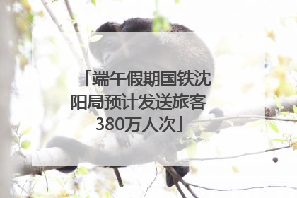 端午假期国铁沈阳局预计发送旅客380万人次