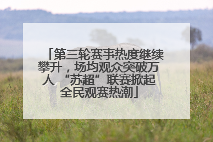 第三轮赛事热度继续攀升，场均观众突破万人 “苏超”联赛掀起全民观赛热潮