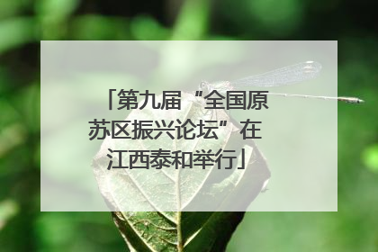 第九届“全国原苏区振兴论坛”在江西泰和举行