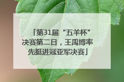 第31届“五羊杯”决赛第二日，王禹博率先挺进冠亚军决赛