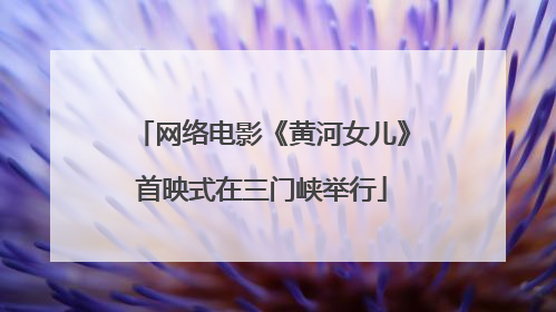 网络电影《黄河女儿》首映式在三门峡举行