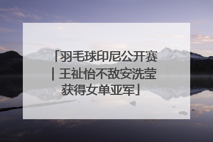 羽毛球印尼公开赛｜王祉怡不敌安洗莹 获得女单亚军