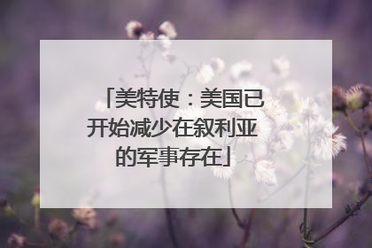 美特使：美国已开始减少在叙利亚的军事存在
